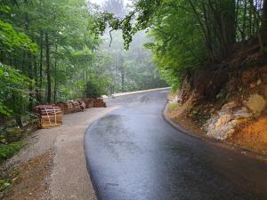 Obnova ceste Črni graben - odcep Ramšak (Dobrovlje)